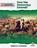 How Has Democracy Evolved?, Rebecca Sjonger - Paperback - 9781039663817