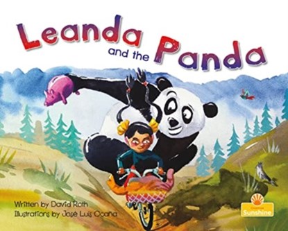 Leanda and the Panda, David Roth - Paperback - 9781039664197