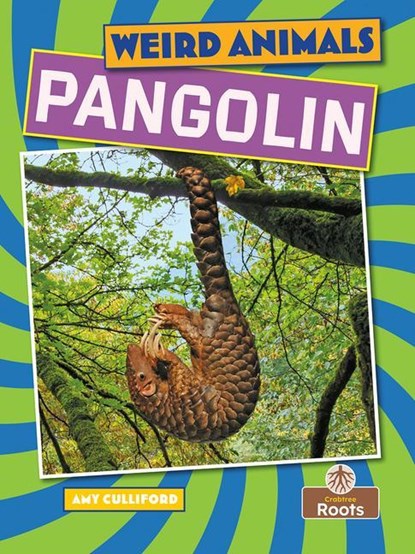 Pangolin, Amy Culliford - Gebonden - 9781039809826