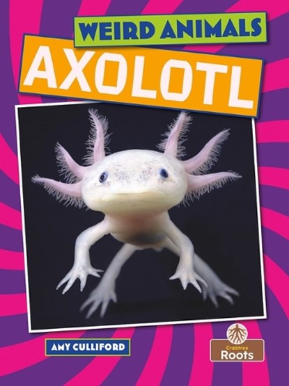 Axolotl, Amy Culliford - Paperback - 9781039810365