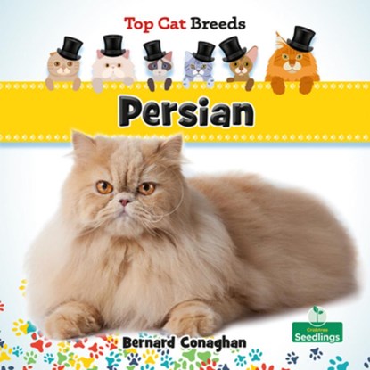 Persian, Bernard Conaghan - Gebonden - 9781039838437
