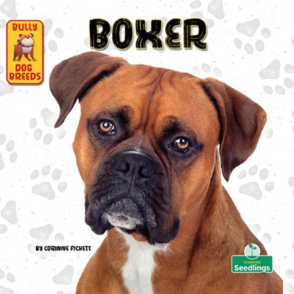 Boxer, Corinne Fickett - Gebonden - 9781039844674