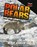Polar Bears on the Hunt, Robin Johnson - Gebonden - 9781039880894