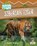 Siberian Tiger, Annette Whipple - Paperback - 9781039884380