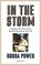 IN THE STORM, Rhoda Power - Paperback - 9781068360855