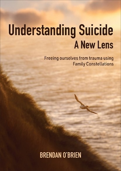 Understanding Suicide A New Lens, niet bekend - Paperback - 9781068371103