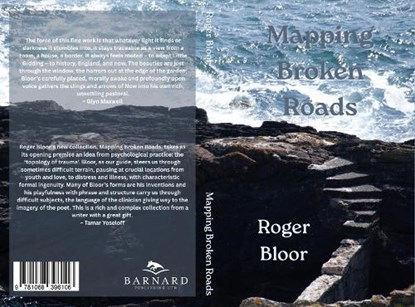 Mapping Broken Roads, Roger Bloor - Paperback - 9781068396106