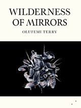 Wilderness of Mirrors - Olufemi Terry - 9781068433856