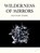 Wilderness of Mirrors, Olufemi Terry - Paperback - 9781068433856