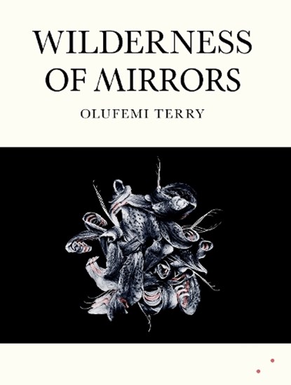 Wilderness of Mirrors, Olufemi Terry - Paperback - 9781068433856