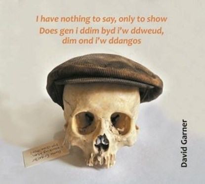 I have nothing to say, only to show / Does gen i ddim byd i'w ddweud, dim ond i'w ddangos, David Garner - Gebonden - 9781068505331