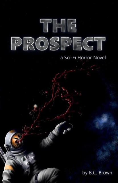 The Prospect, B. C. Brown - Paperback - 9781068627705