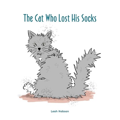 The Cat Who Lost His Socks, Leah Hobson - Paperback - 9781068678004