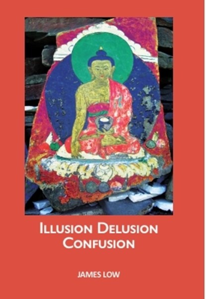 Illusion delusion confusion, James Low - Gebonden - 9781068717543