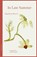 In Late Summer, Magdelena Blazevic - Paperback - 9781068740428