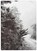John Cage & William Gedney: Iris Garden, Alec Soth - Gebonden - 9781069670359