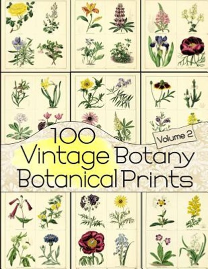 100 Vintage Botany Botanical Prints Volume 2, C. Anders - Paperback - 9781071101742