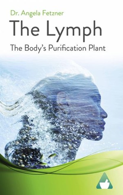 The Lymph, Dr. Angela Fetzner - Ebook - 9781071528754