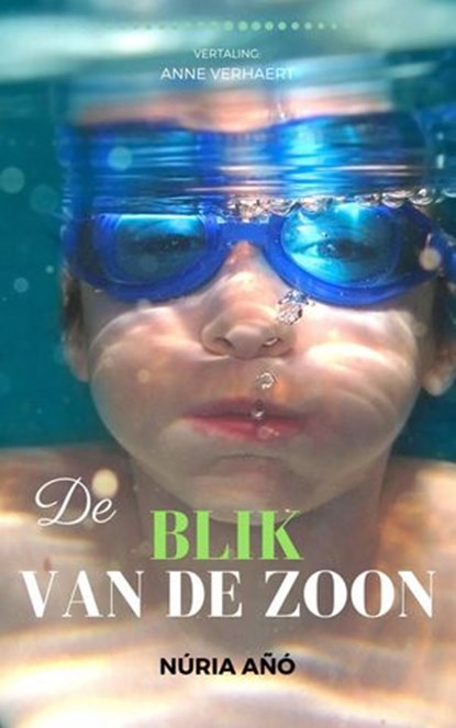 De blik van de zoon, Núria Añó - Ebook - 9781071534496