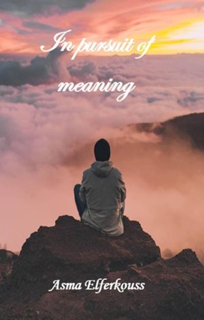 In Pursuit of Meaning, Asma ELFERKOUSS - Ebook - 9781071588109