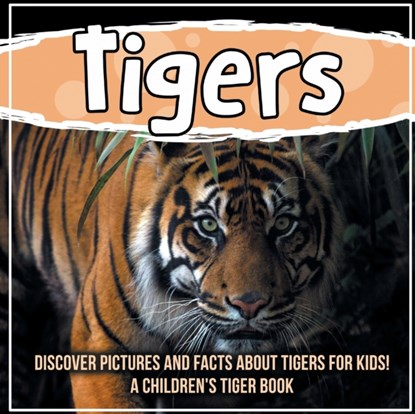 Tigers, Bold Kids - Paperback - 9781071707975