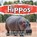 Hippos, Susan Brown - Paperback - 9781071710142