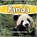 Panda, KIDS,  Bold - Paperback - 9781071711095
