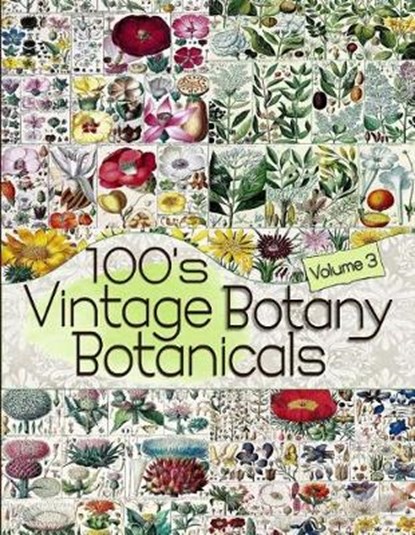 100's Vintage Botany Botanicals Volume 3, C. Anders - Paperback - 9781072239680