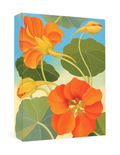 Siri Schillios: Nasturtium Thank You Notes, Siri Schillios - Gebonden - 9781087505008