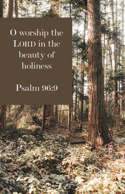 General Worship Bulletin: O Worship the Lord (Package of 100): Psalm 96:9 (Kjv), Broadman Church Supplies Staff - Paperback - 9781087755090