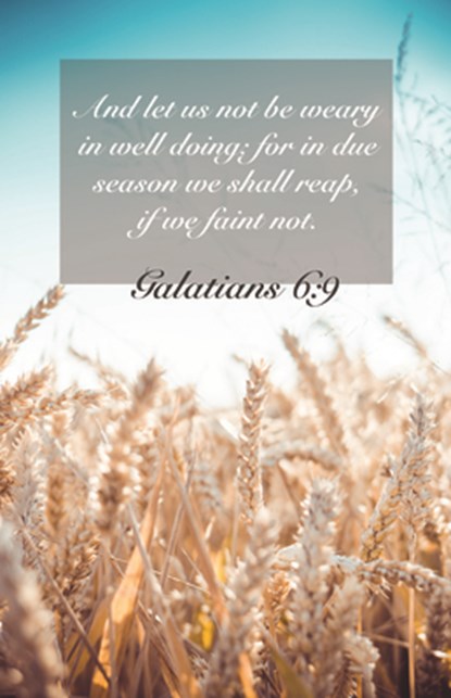 General Worship Bulletin - Due Season (Package of 100): Galatians 6:9 (Kjv), Broadman Church Supplies Staff - Paperback - 9781087775753