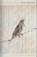 Perry, J: Upon Waking, Jackie Hill Perry - Gebonden - 9781087783710
