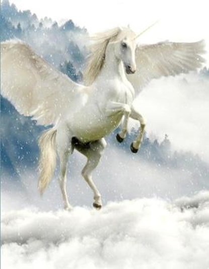 Unicorn Notebook, Rwg - Paperback - 9781087819792