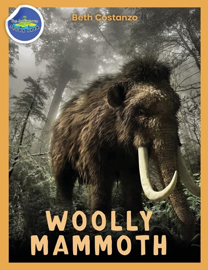 Woolly Mammoth Activity Workbook ages 4-8, Beth Costanzo - Paperback - 9781087873855