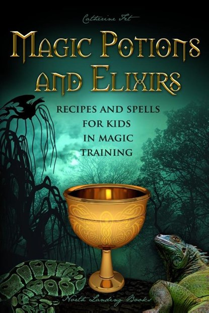 Magic Potions and Elixirs - Recipes and Spells for Kids in Magic Training, Catherine Fet - Paperback - 9781087920481