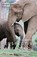 Perspective Parenting, Caroline Smith - Paperback - 9781087936383