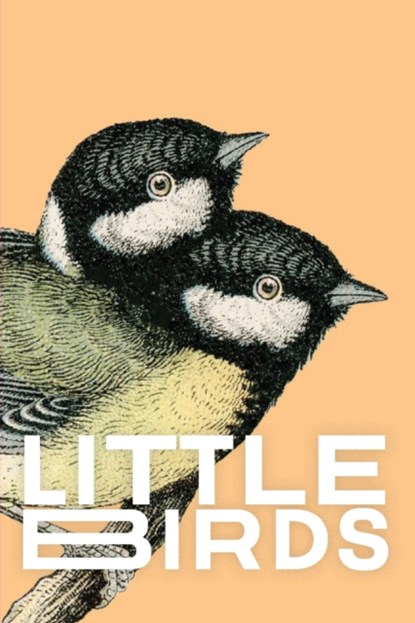 Little Birds, Sam Pink ; Elle Nash - Paperback - 9781087949543