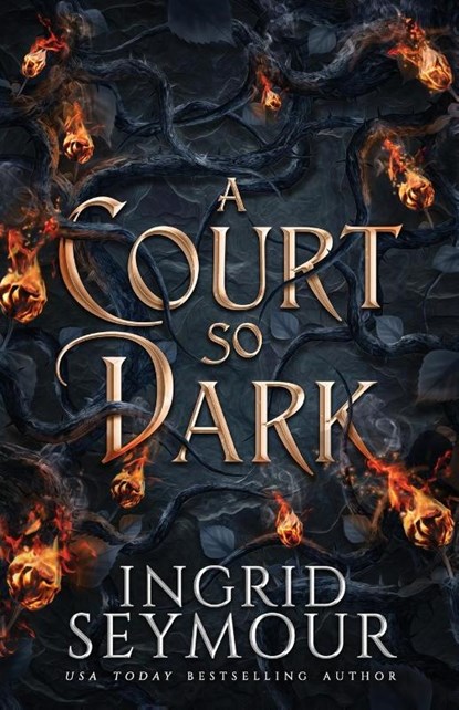 A Court So Dark, Ingrid Seymour - Paperback - 9781088044087