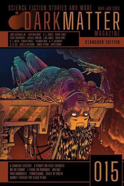 Dark Matter Magazine Issue 015, CARROLL,  Rob - Paperback - 9781088117958