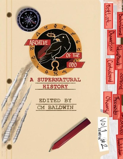 Archive of the Odd #2, Cm Baldwin - Paperback - 9781088244777
