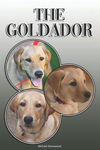 The Goldador: A Complete and Comprehensive Owners Guide To: Buying, Owning, Health, Grooming, Training, Obedience, Understanding and, Michael Stonewood - Paperback - 9781092583664