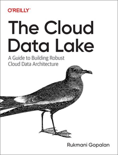 The Cloud Data Lake, Rukmani Gopalan - Paperback - 9781098116583