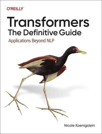 Transformers: The Definitive Guide, Nicole Koenigstein - Paperback - 9781098167011