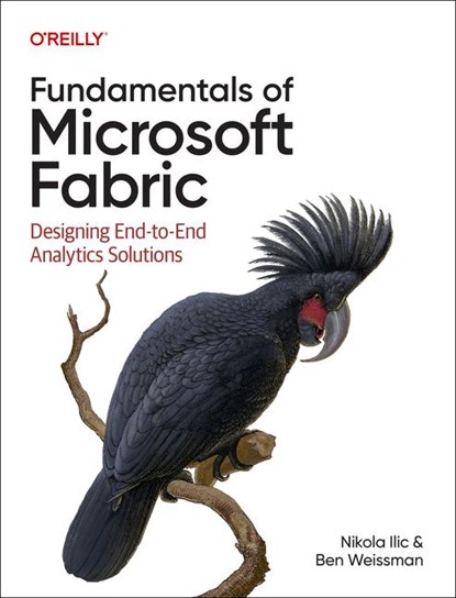 Fundamentals of Microsoft Fabric, Nikola ILIC ; Ben Weissman - Paperback - 9781098172923