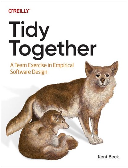 Tidy Together, Kent Beck - Paperback - 9781098178765