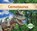 Carnotaurus, Grace Hansen - Gebonden - 9781098202422