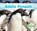 Adelie Penguin, Grace Hansen - Gebonden - 9781098209377