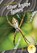 Silver Argiope Spiders, Julie Murray - Gebonden - 9781098228361