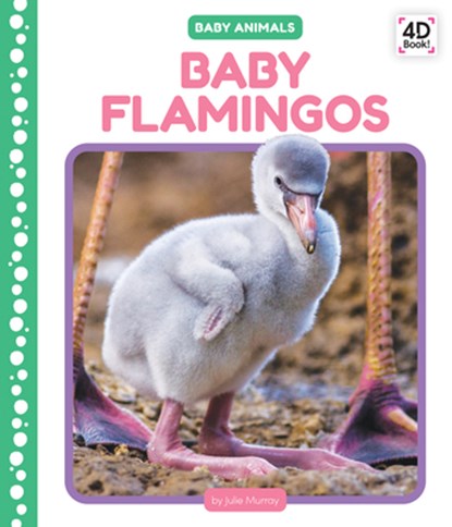 Baby Flamingos, Julie Murray - Gebonden - 9781098245214