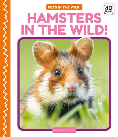 Hamsters in the Wild!, Grace Hansen - Gebonden - 9781098246143